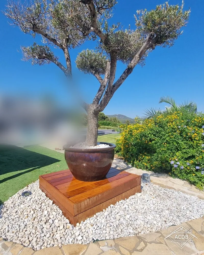 Olivier en pot et son socle en ipé face à la rade de Bandol